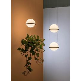 Palma Pendant 3724