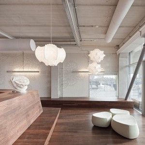 Taraxacum 1 suspension - Flos