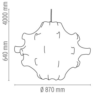 Taraxacum 2 suspension - Flos